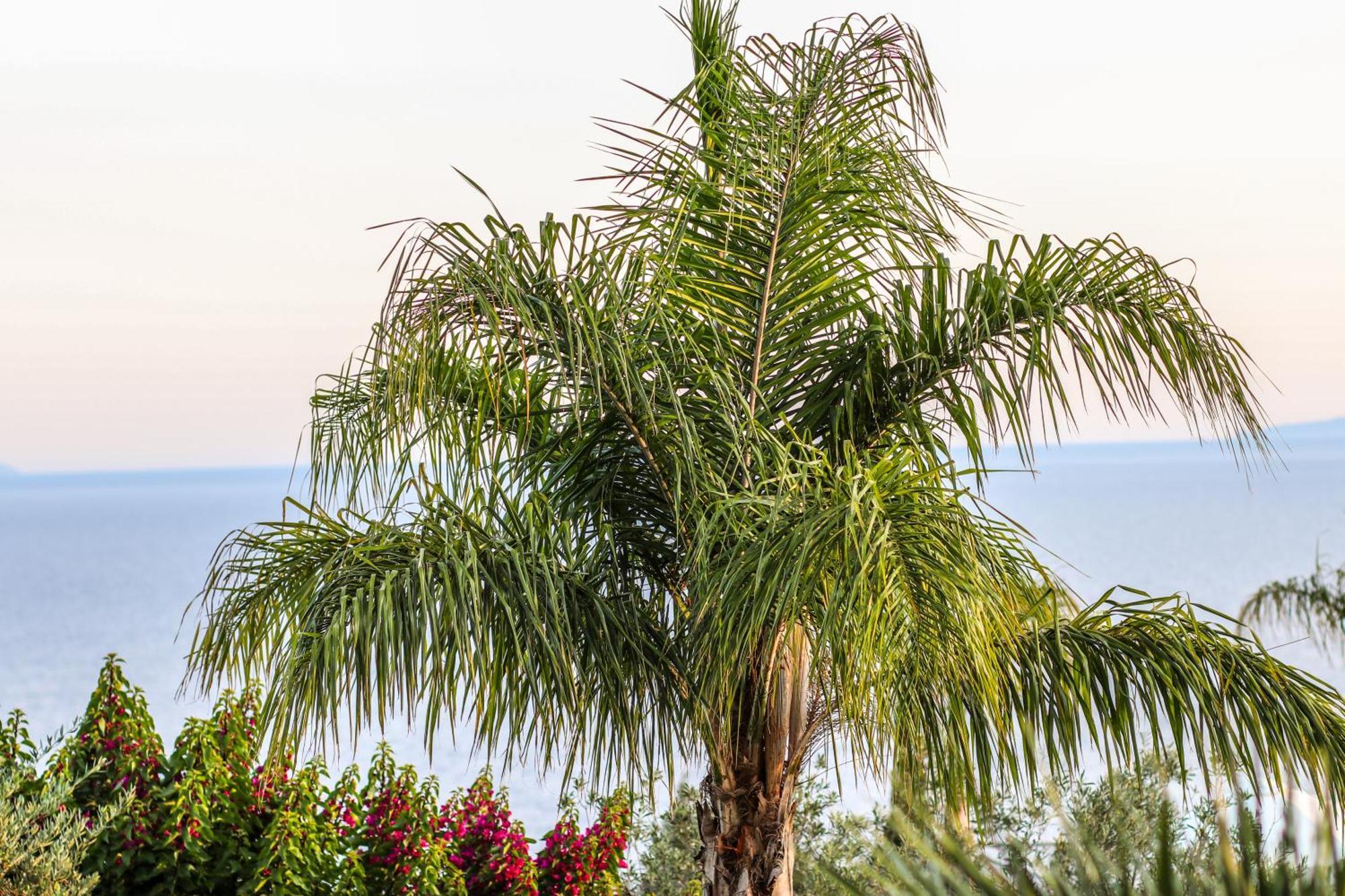 Elysium Hotel Dhermi